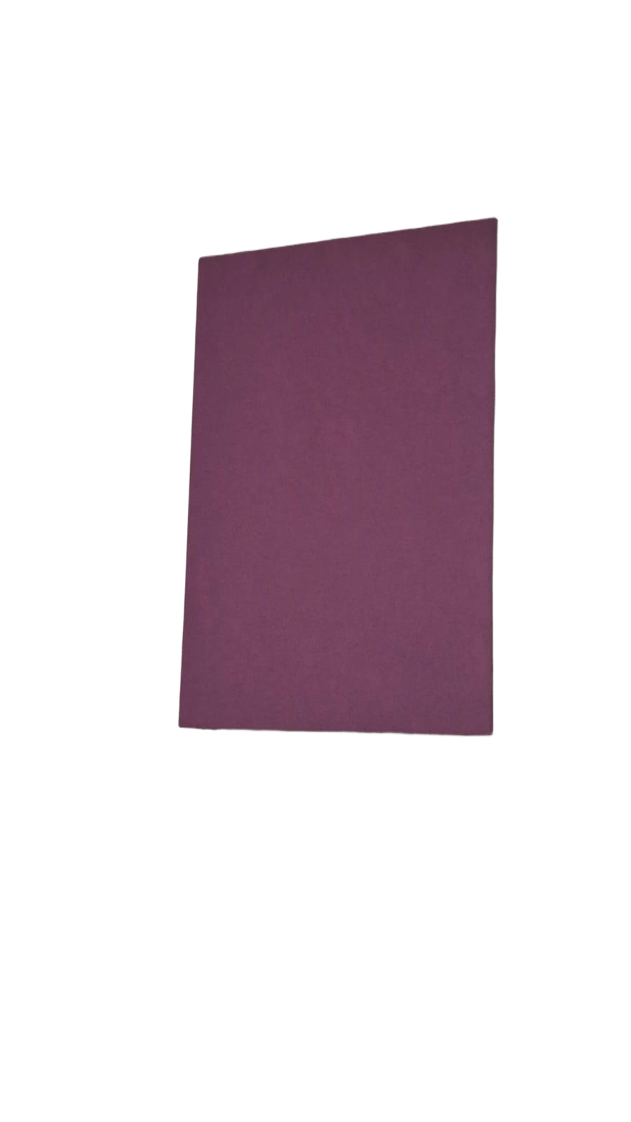 Rosa 42601